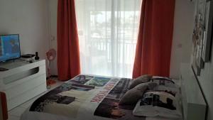 a bedroom with a bed and a tv and a window at Joli Studio Vue Sur Mer in Pointe-à-Pitre