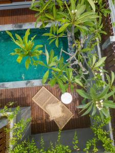 Zahrada ubytování Canggu City Center and Popular place near by Walk! 2BDR Villa with Private Pool in CANGGU