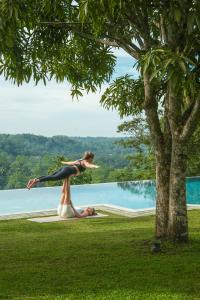 Природа в окрестностях курортного отеля