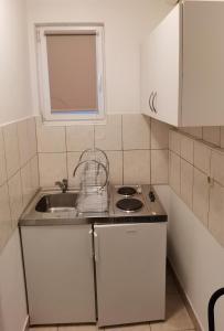 Kuchyň nebo kuchyňský kout v ubytování Apartman Fantina