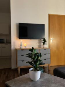 a living room with a potted plant on a table at Boardinghouse Plauen im Zentrum der Stadt in Plauen +66 photos