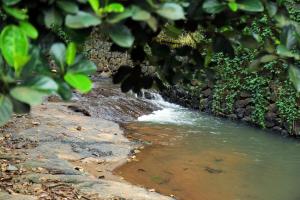 Φυσικό τοπίο κοντά σε αυτό το ξενοδοχείο