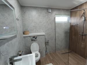 a bathroom with a shower and a toilet and a sink at Family House Volosianka in Volosyanka