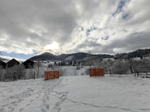 two benches in a snowy field with the sun in the background at Family House Volosianka in Volosyanka