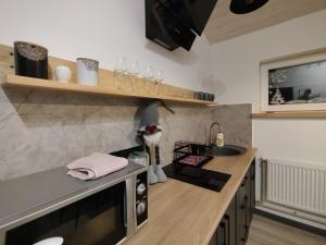 a kitchen with a sink and a counter top at Family House Volosianka in Volosyanka