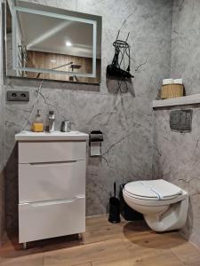 a bathroom with a toilet and a sink and a mirror at Family House Volosianka in Volosyanka +37 photos