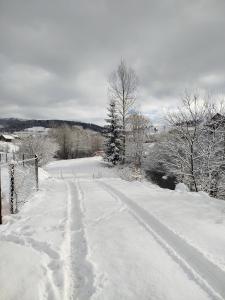 a snow covered road with footprints in the snow at Family House Volosianka in Volosyanka
