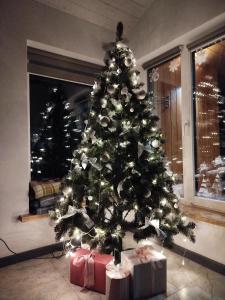 a christmas tree with presents under it in a living room at Family House Volosianka in Volosyanka