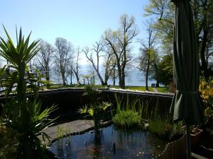 Φωτογραφία από το άλμπουμ του Gästehaus Fischerhäusle σε Mitten +31 φωτογραφίες