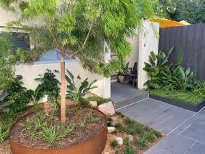 a small tree in a pot in a garden at Whitewash Beachfront Apartment on The Esplanade in Torquay