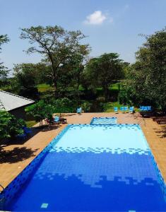 Bazén v ubytování Peacock Eco Resort Sigiriya nebo v jeho okolí