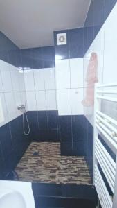 Koupelna v ubytování Apartament Vintage + 12 fotografií