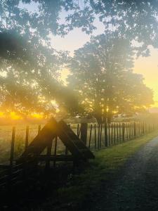 a fence and a tree with the sunset in the background at Oultan Homestead Farm Stay in Ikamatua