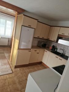 Kuchyň nebo kuchyňský kout v ubytování Appartment Lidia
