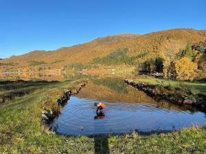 eine Person, die mit einem Regenschirm in einem Fluss steht in der Unterkunft Arctic photo retreat Lofoten - lakehouse Bjørkly in Vestvågøya