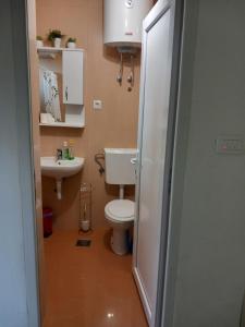 a bathroom with a toilet and a sink at Guest House Olga in Budva