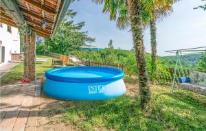 a blue tub sitting next to a palm tree at Pet Friendly Home In Vignale Monferrato in Vignale Monferrato