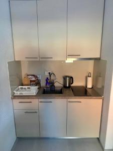 ヤホリナにあるBeggy Jahorinaの白いキャビネットとシンクを備えた小さなキッチン +17枚の写真