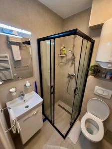 ヤホリナにあるBeggy Jahorinaのシャワー、トイレ、洗面台を備えたバスルーム