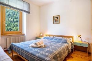 Φωτογραφία από το άλμπουμ του Casa Ai Laresi 1 σε Celledizzo