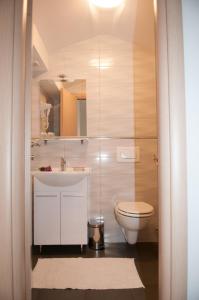 łazienka z białą umywalką i toaletą w obiekcie Apartment Gregov w mieście Mošćenička Draga