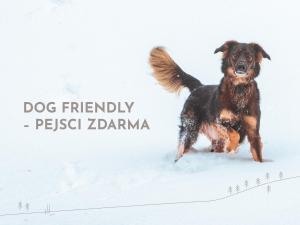 Mascotas con sus dueños en Hotel Jizerka 4