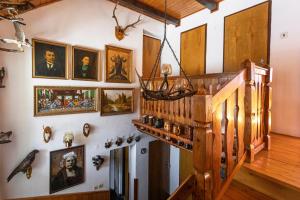Fotografie z fotogalerie ubytování Chata 131 v destinaci Česká Čermná
