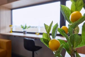 Imagine din galeria proprietății miniLOFT apartments Leonding în Linz