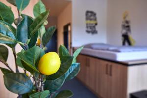 Un pat sau paturi într-o cameră la miniLOFT apartments Leonding