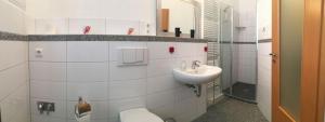 ein Bad mit einem WC und einem Waschbecken in der Unterkunft Ferienwohnung Warnemünde - L (N) in Warnemünde