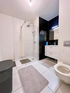 a bathroom with a shower and a toilet at Sahara - appartement ensoleillé au cœur de Reims in Reims +11 photos