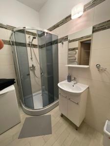 a bathroom with a shower and a sink at Taikos Apartmentai 2 in Druskininkai