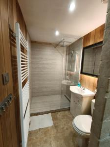 a bathroom with a shower and a toilet and a sink at Cozy 1 room flat with sauna in Komárno
