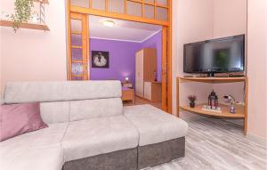 Televízia a/alebo spoločenská miestnosť v ubytovaní Awesome Apartment In Raslina