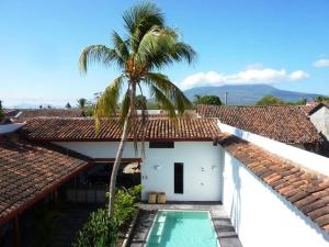 eine Villa mit einer Palme und einem Pool in der Unterkunft Los Patios Hotel Granada in Granada