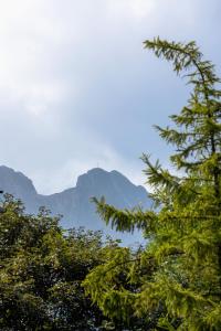 Un paisaje natural cerca del departamento