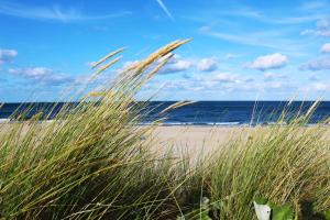 una playa con hierba alta frente al océano en Ferienhaus Quartier18 strandnah S2, en Ostseebad Karlshagen 2 fotos más