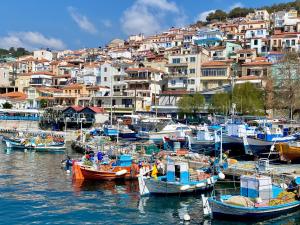a group of boats docked in a harbor with buildings at Ocean View Studios and Luxury Rooms in Plomari