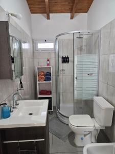 a bathroom with a shower and a toilet and a sink at Depto cerca del Aeropuerto in Comodoro Rivadavia