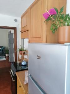 a white refrigerator with a plant on top of it at CasAdelinA in Arnaz