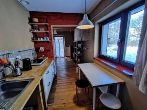a kitchen with a counter and a sink and a window at Studio in a wooden house in Kounov