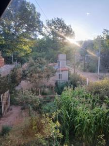 a garden in front of a house with the sun shining at Pacha Wasi in Humahuaca