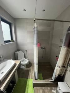 a bathroom with a shower with a toilet and a sink at Katerina Beach House in Vergia +27 photos