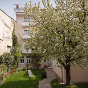 Zahrada ubytování Altstadthotel Wetzel