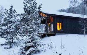 Cozy Home In Treungen With Wifi v zimě