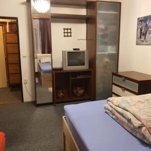 TV a/nebo společenská místnost v ubytování Horský apartmán Krkonoše + 32 fotografií