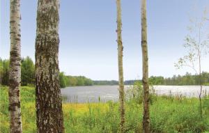a view of a lake through a group of trees at Amazing Home In Tingsryd With Wifi in Ryd