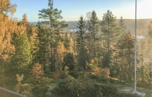 a view of a forest in the fall at 1 Bedroom Amazing Home In Överlida in Överlida