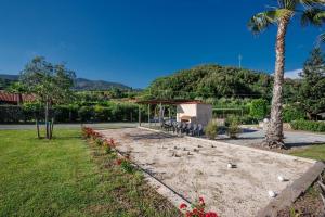 Un jardín con una mesa y sillas y una palmera. en Entire Villa with Private Swimming Pool, en Rio Marina