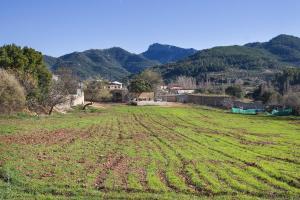 a field with a house and mountains in the background at Casa Rural Chache CASTO in Bienservida